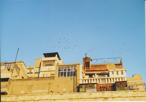 2008.2 Syria3 ハマ＆アレッポ