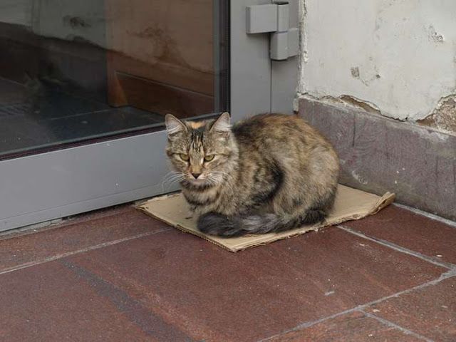 ミス・リトアニア