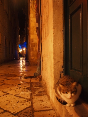 雨上がりの港町