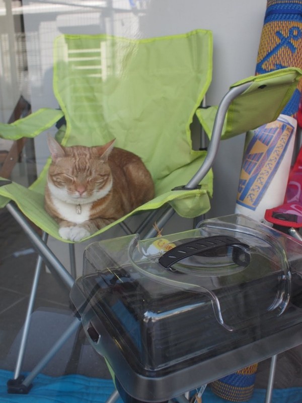 日曜日のはたらきもの