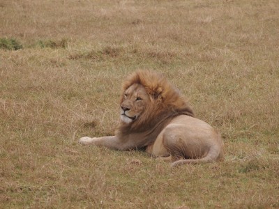2017.7Africa2. 動物の楽園ンゴロンゴロ