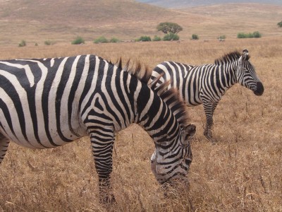 2017.7 西アフリカ周遊旅行記
