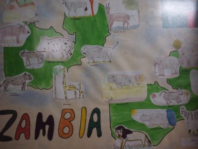 2017.7 Africa6 ヴィクトリアフォールズをザンビア側から