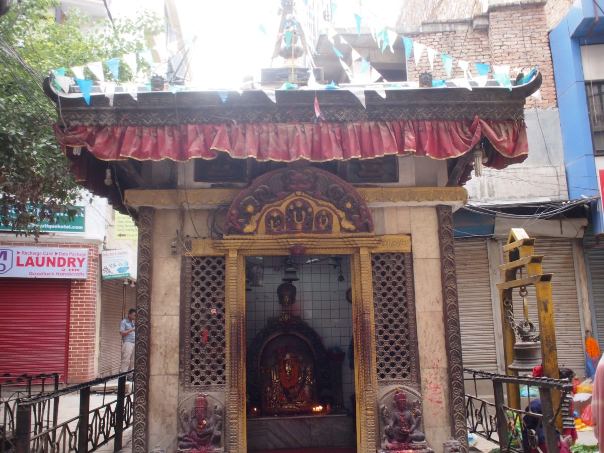 2018.5 China&Nepal4 再び成都に戻る