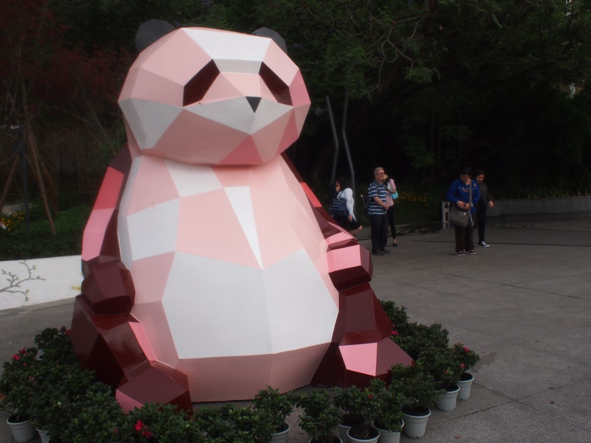 2018.5 China&Nepal5パンダを研究する