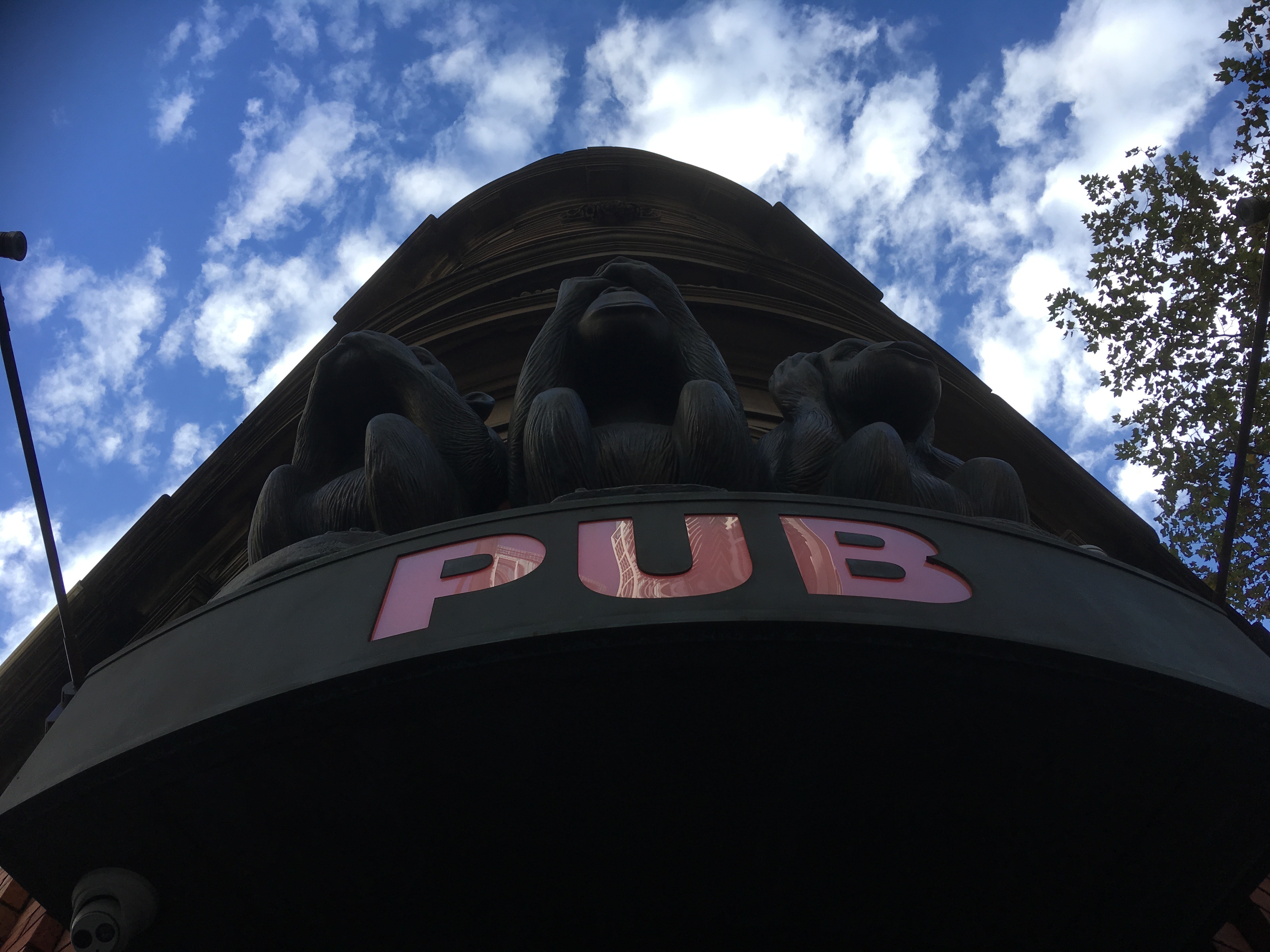 2019.5 ACLオーストラリア（シドニー）遠征&NZ旅行記