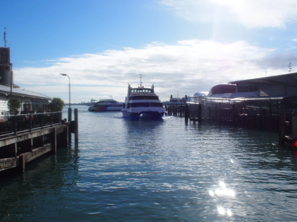 2019.5 AUS＆NZ6 ワインとアートのワイヘキ島