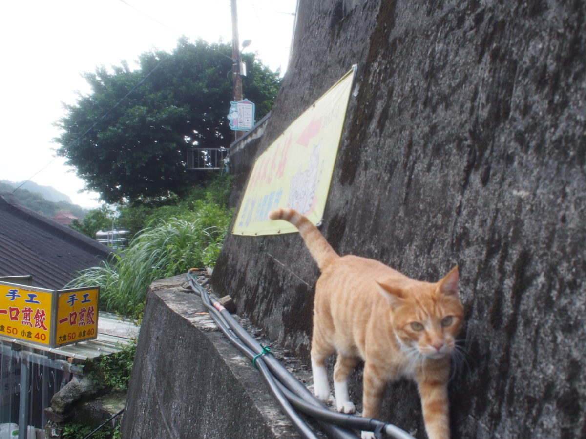 2018.10 Taiwan2 猫の村から九份へ