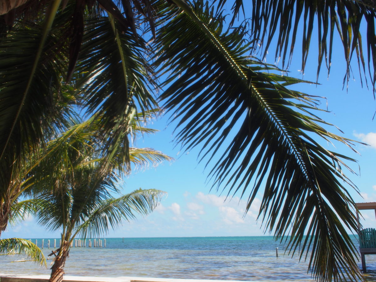 2018.11 中米５カ国周遊旅行記