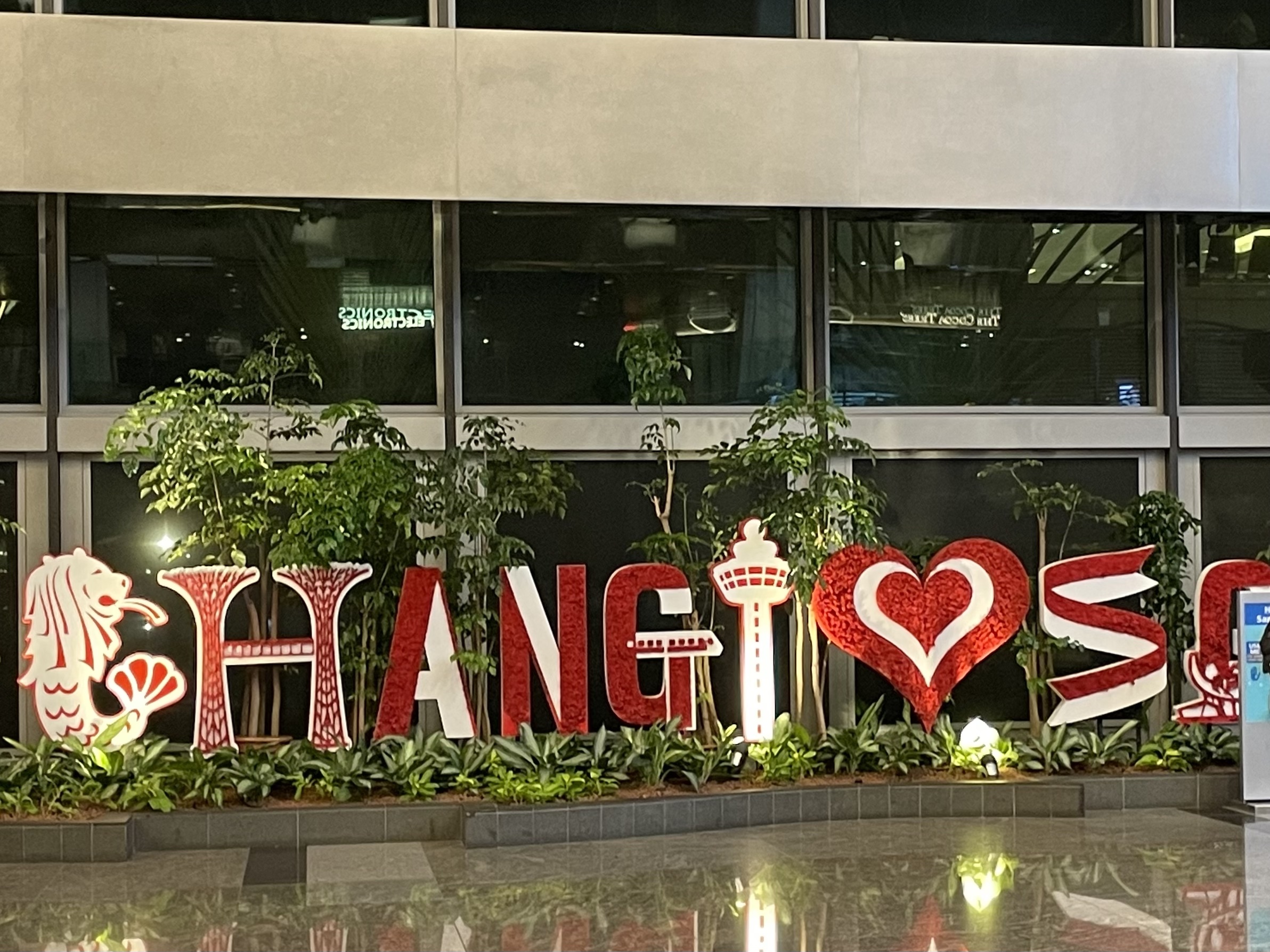 2022.4 JB1 コロナ禍の海外旅行