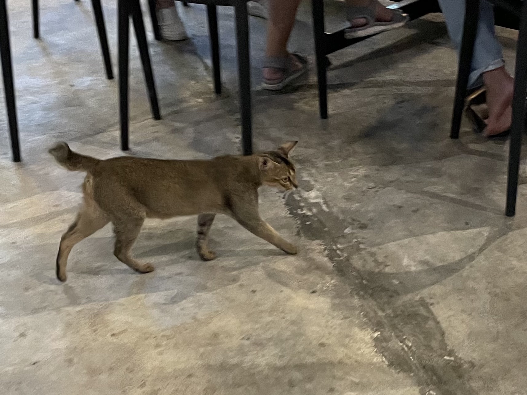 2022.4 JB3 一日遅れの祝勝会