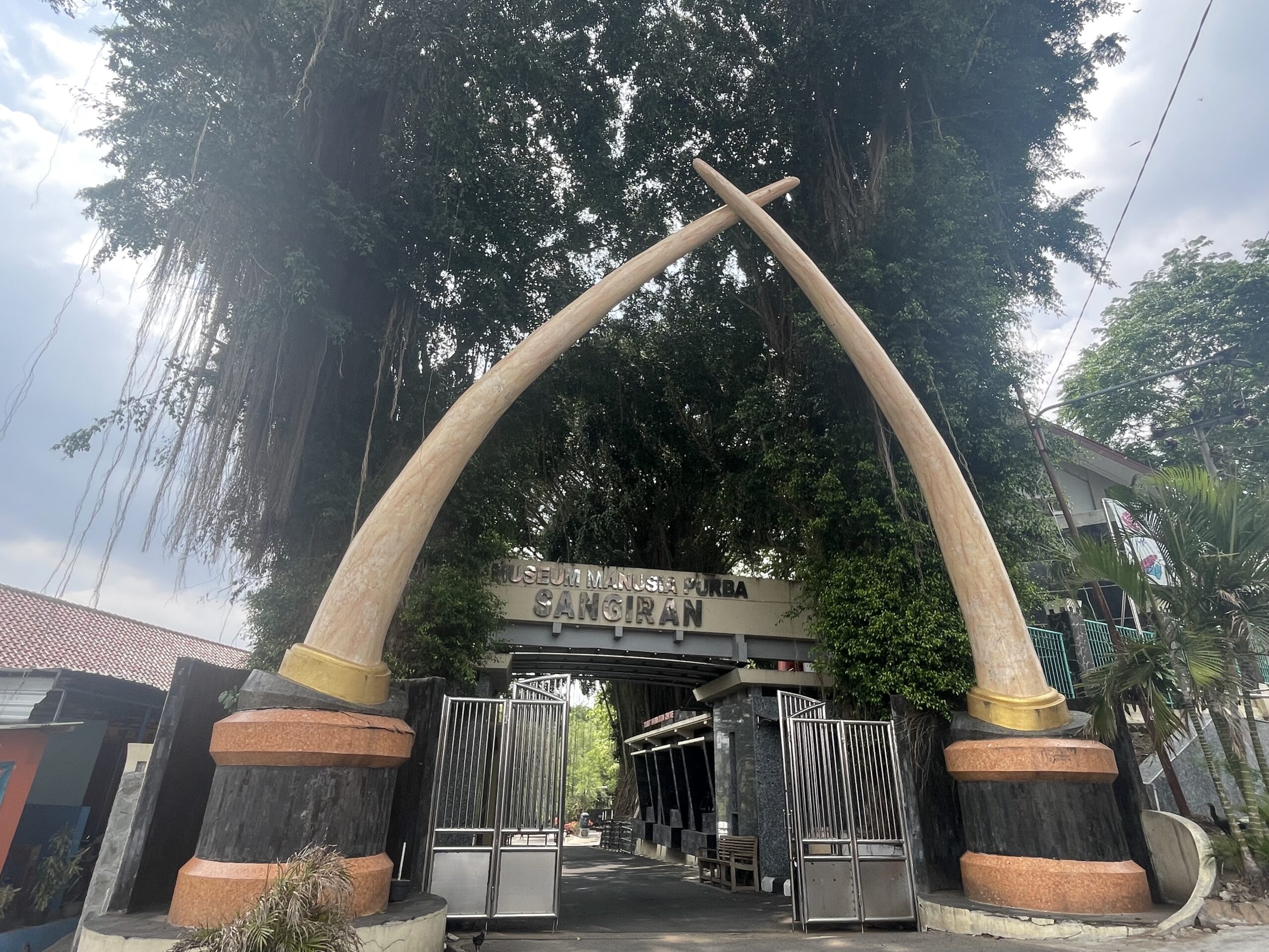 2023.11 Indonesia10 ジャワ原人を学んで帰ろう