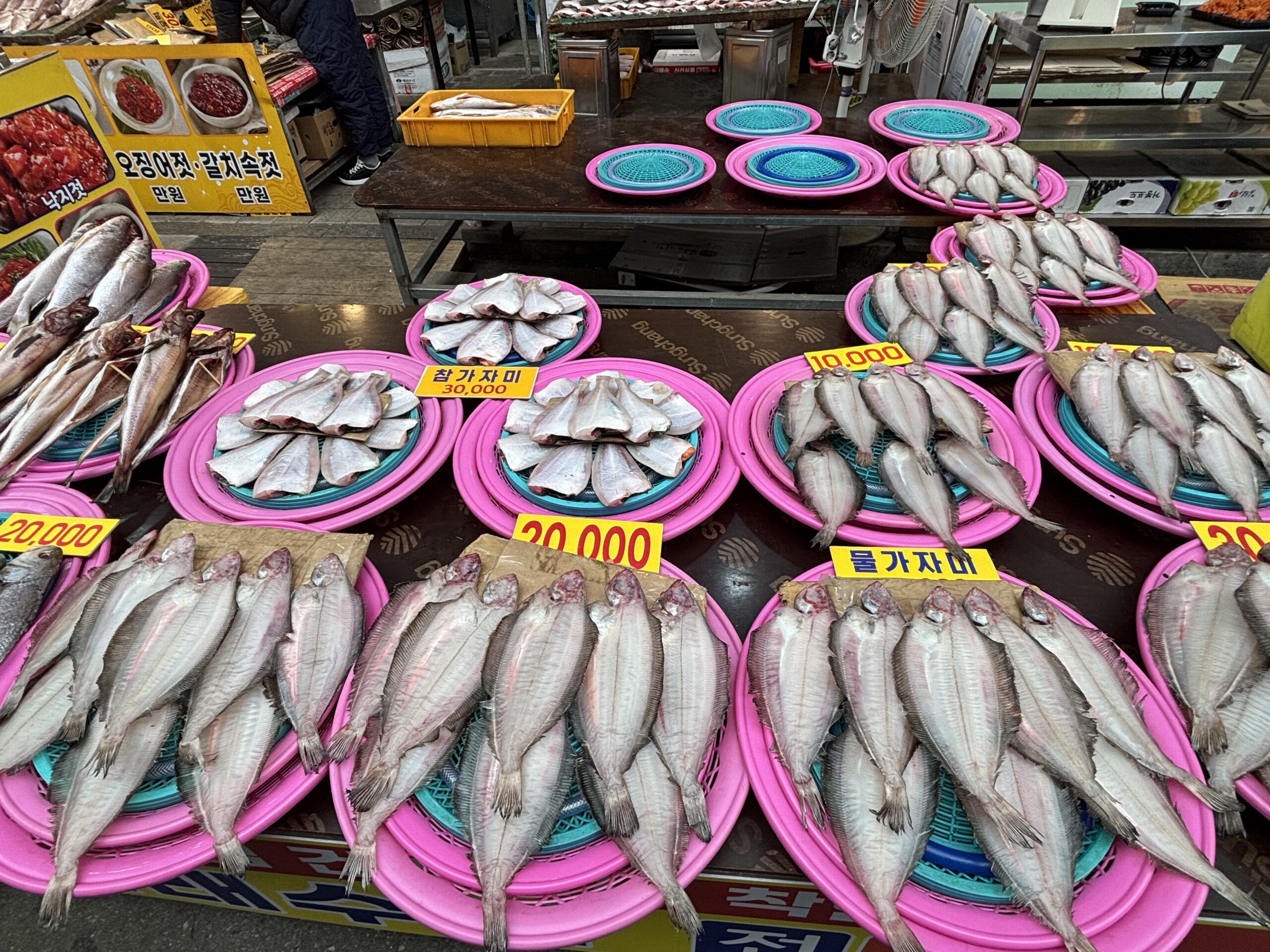 2025.2 Korea1 初めての街浦項