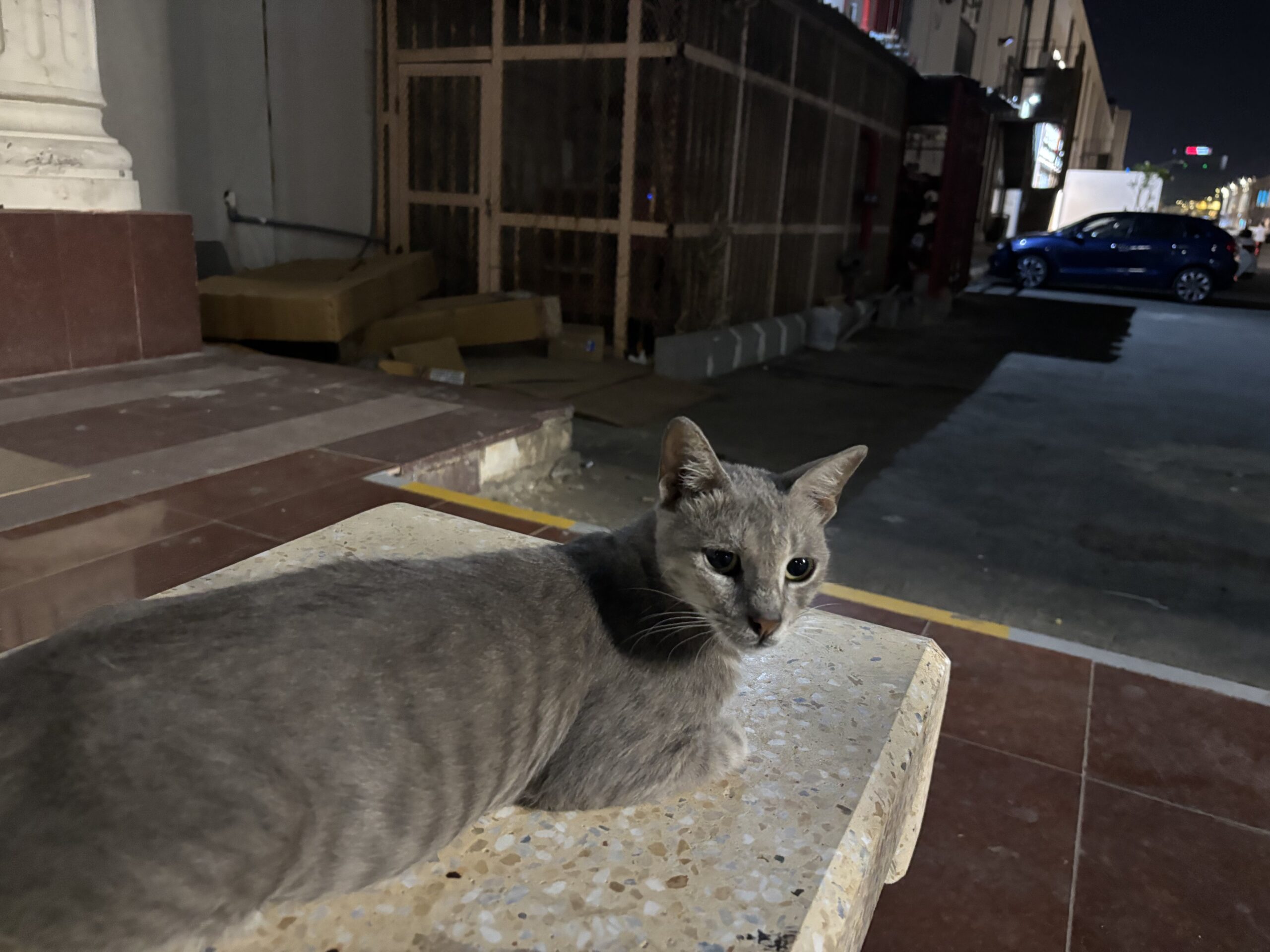 2025.4 Saudi5 ゆっくり遠征生活