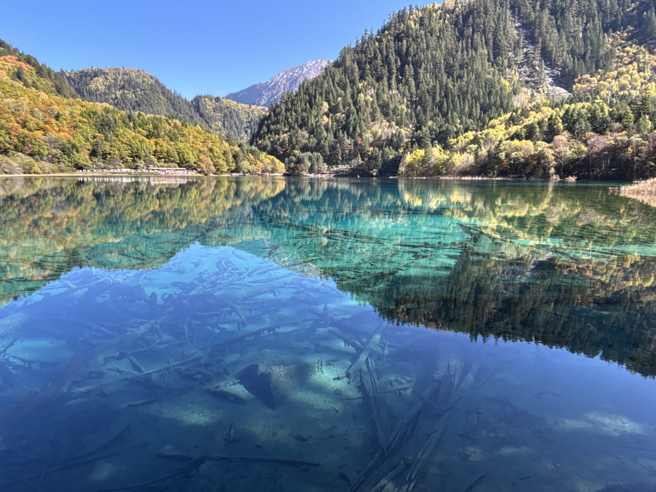 2025.10 China5 憧れの九寨溝！