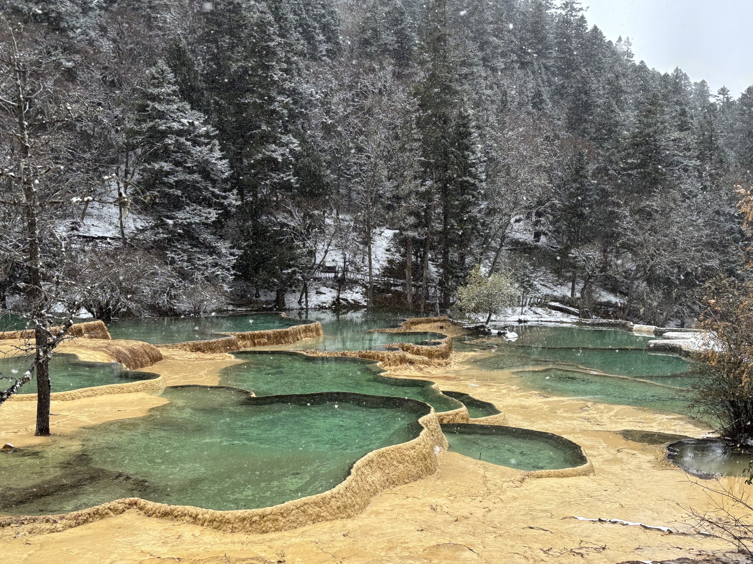 2025.10 China6 雪の中の黄龍観光