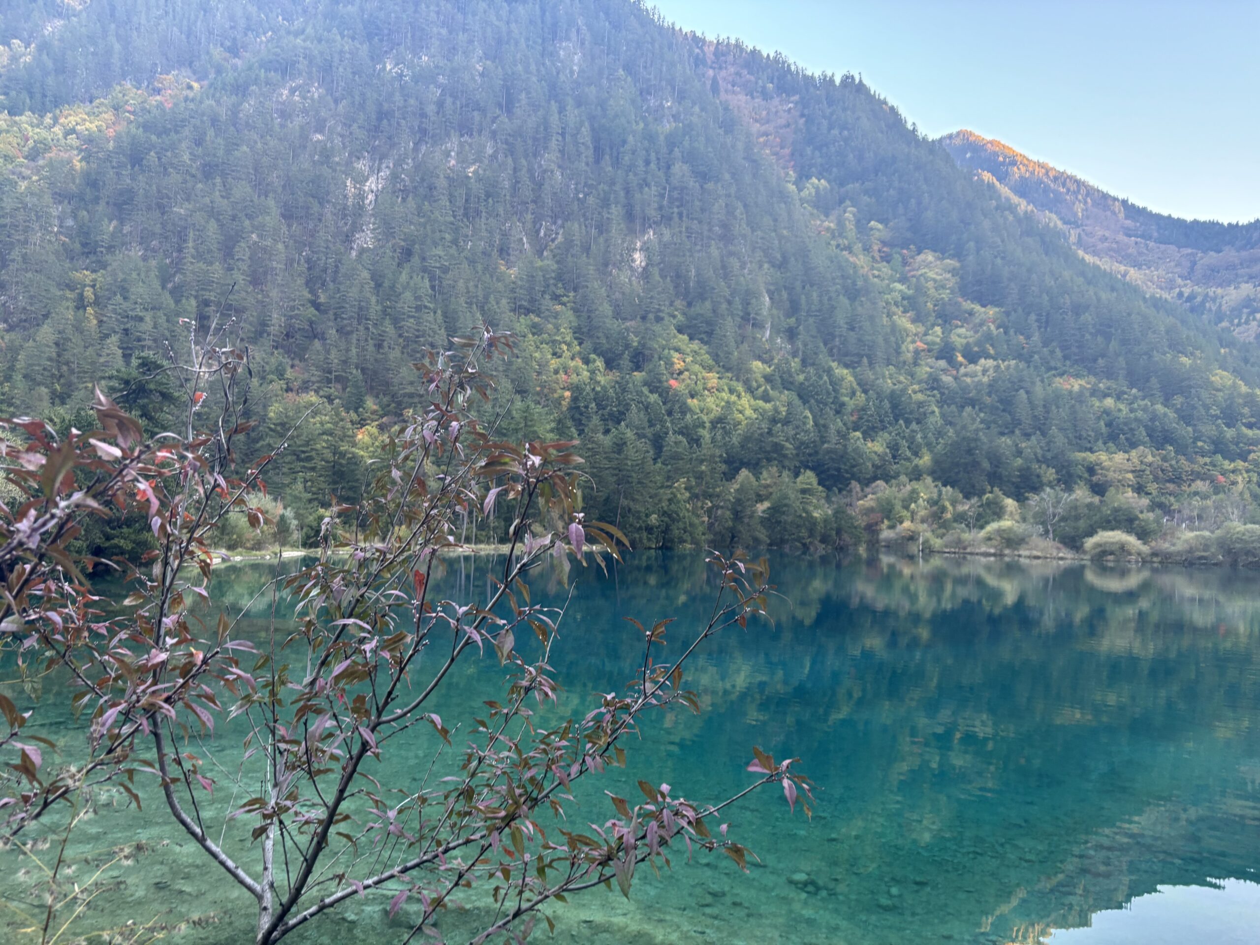 2025.10 中国（重慶・九寨溝・西安・廈門）旅行記