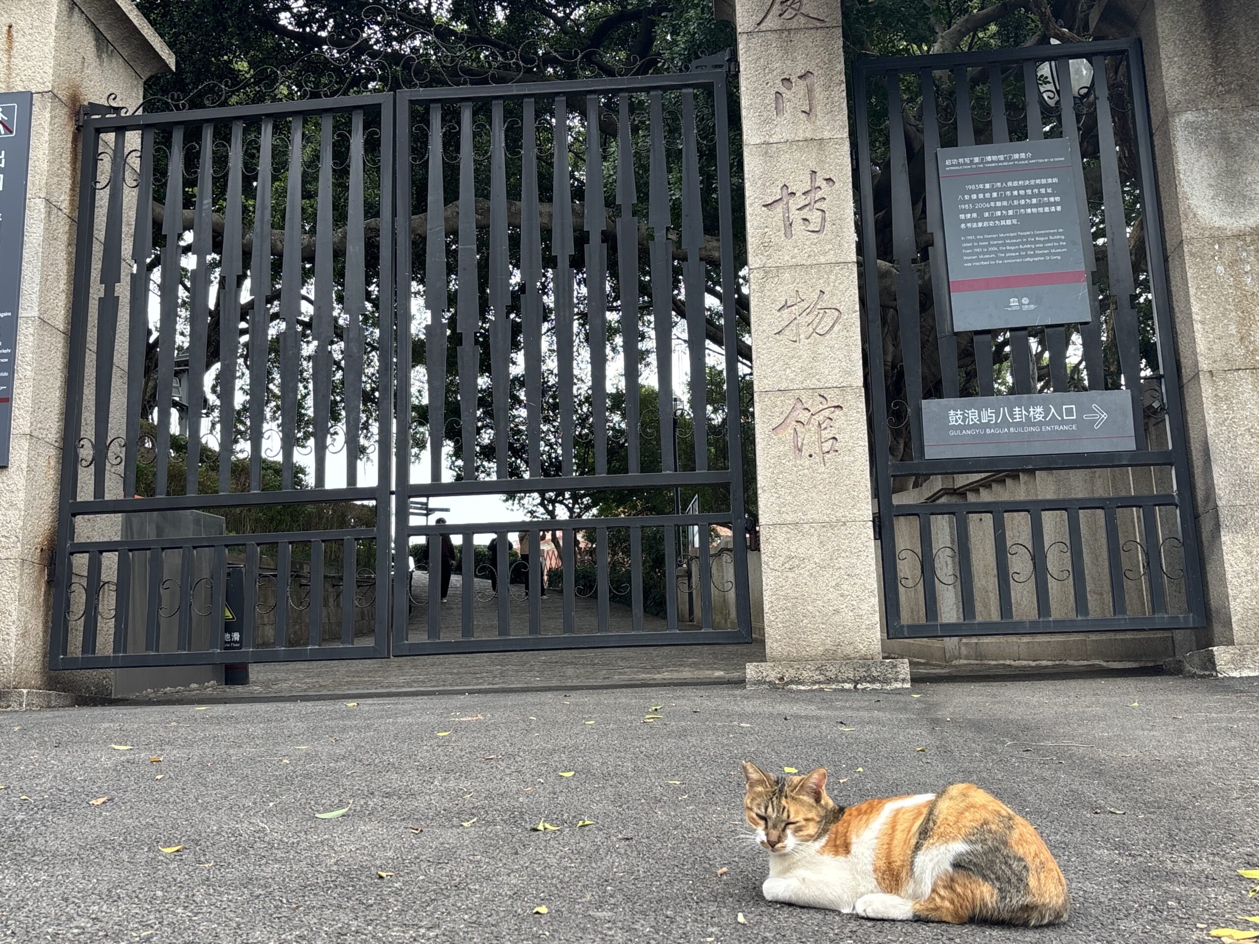 2025.10 China9 世界遺産コロンス島